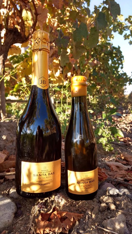 Bodega Domaine Jean Bousquet bebidas.com.ar