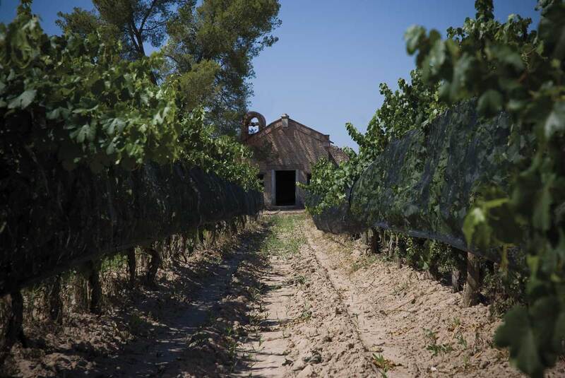 Bodega Cavas La Capilla bebidas.com.ar